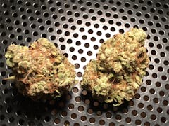 User uploaded image of LA Woman