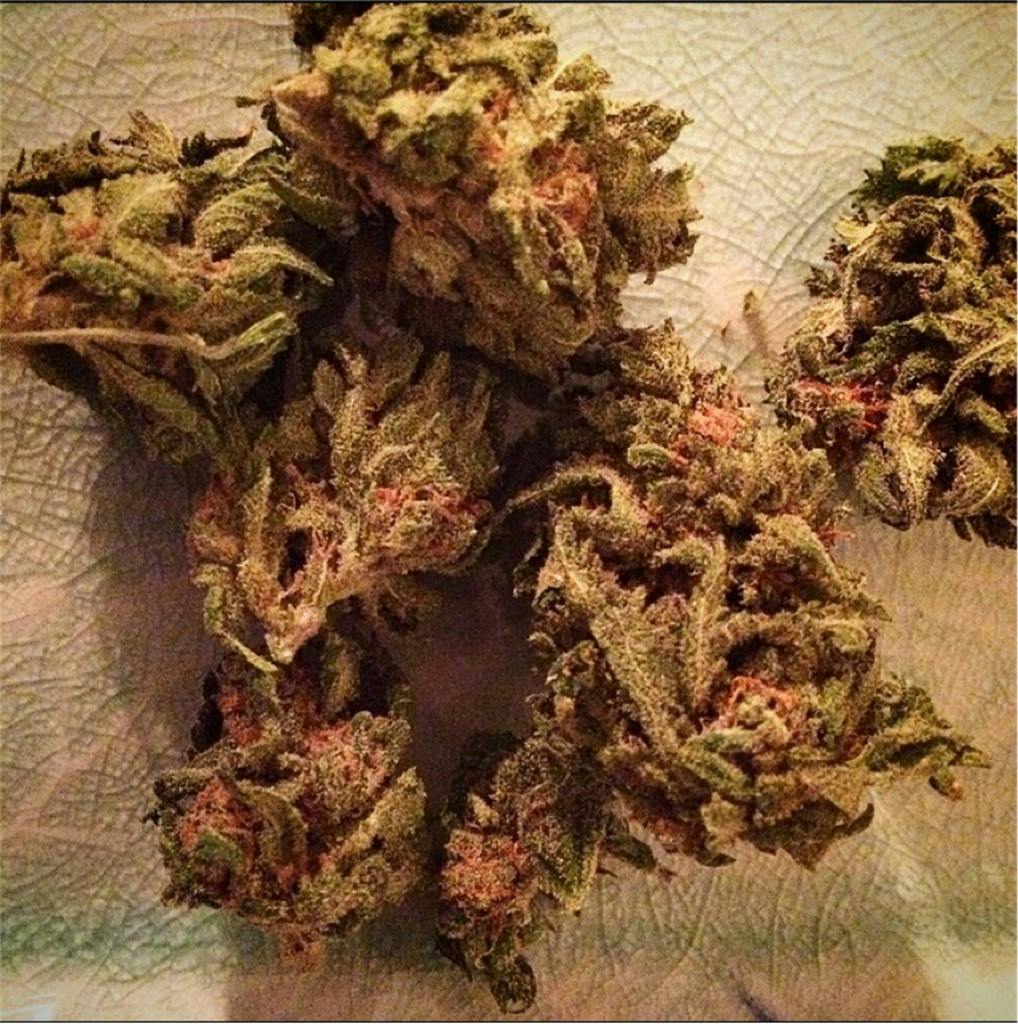 Photos of Lamb's Bread Weed Strain Buds Leafly