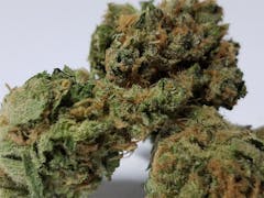 User uploaded image of Lamb's Bread