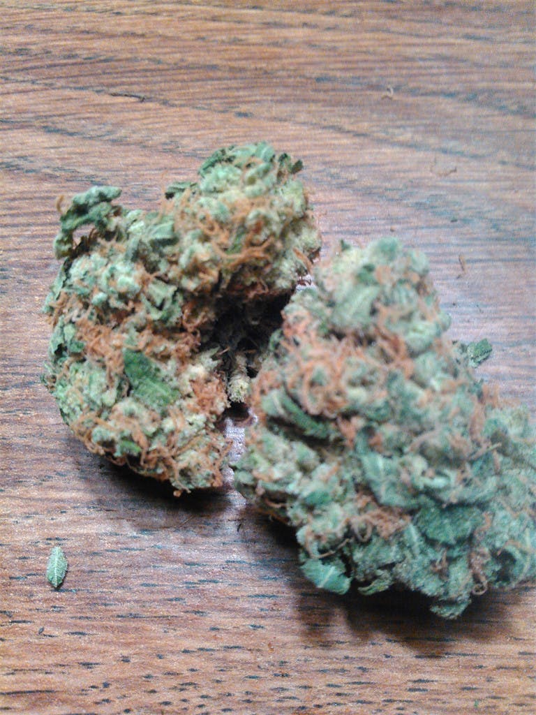 Photos of Lamb's Bread Weed Strain Buds Leafly