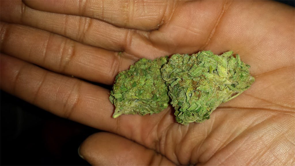 Photos of Lamb's Bread Weed Strain Buds Leafly