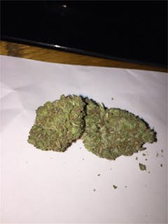 User uploaded image of Lamborghini