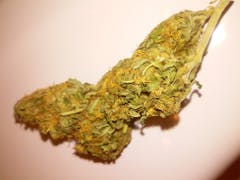 User uploaded image of Lamborghini