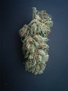 User uploaded image of LAPD