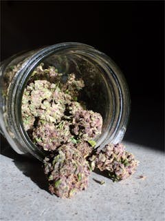 User uploaded image of LAPD