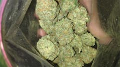 User uploaded image of LAPD