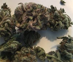 User uploaded image of Larry Bird