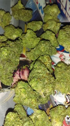 User uploaded image of Larry Bird