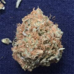User uploaded image of Larry OG