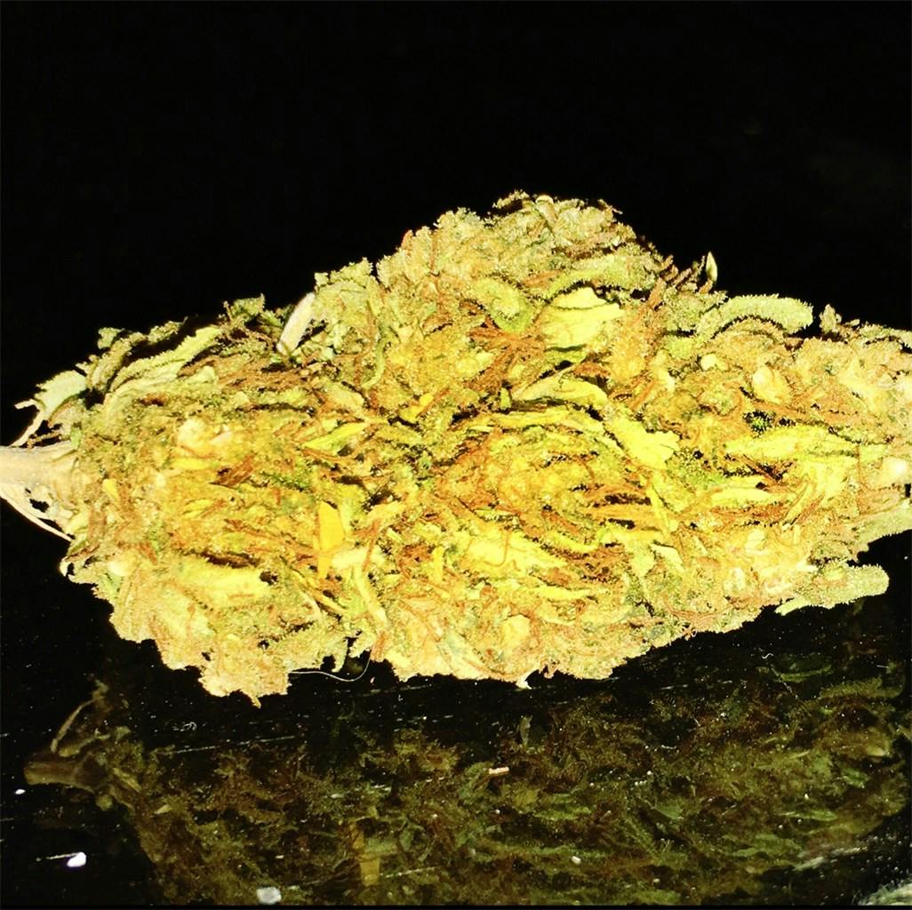 Laughing Buddha Weed Strain Information Leafly