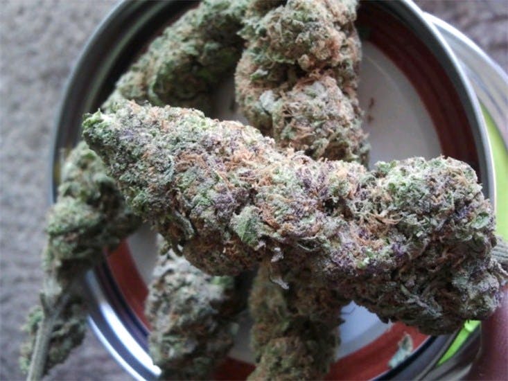 Lavender Haze aka G13 Haze Lavender Weed Strain Information Leafly