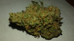 User uploaded image of Lavender Haze
