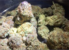 User uploaded image of Lavender Jones