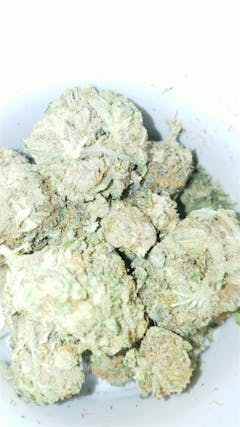User uploaded image of Lavender Jones