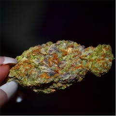 User uploaded image of Lavender