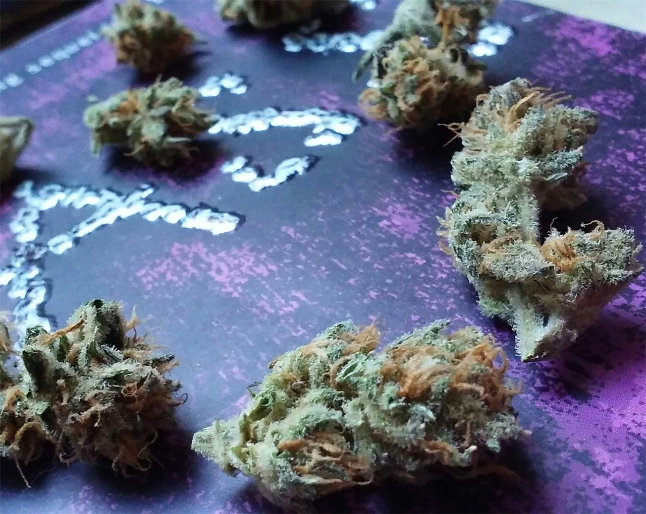 Lavender aka Lavender Kush Weed Strain Information Leafly