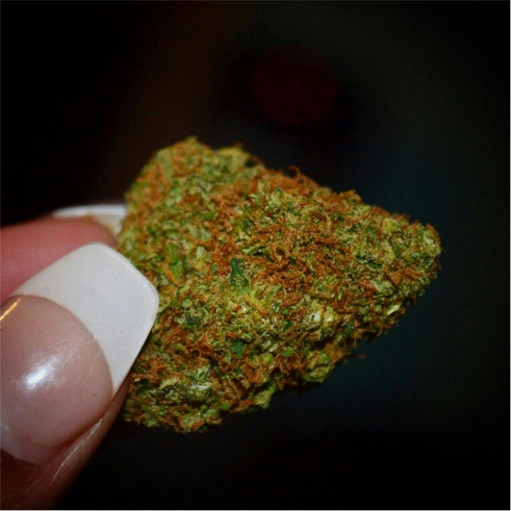 Lavender aka Lavender Kush Weed Strain Information Leafly