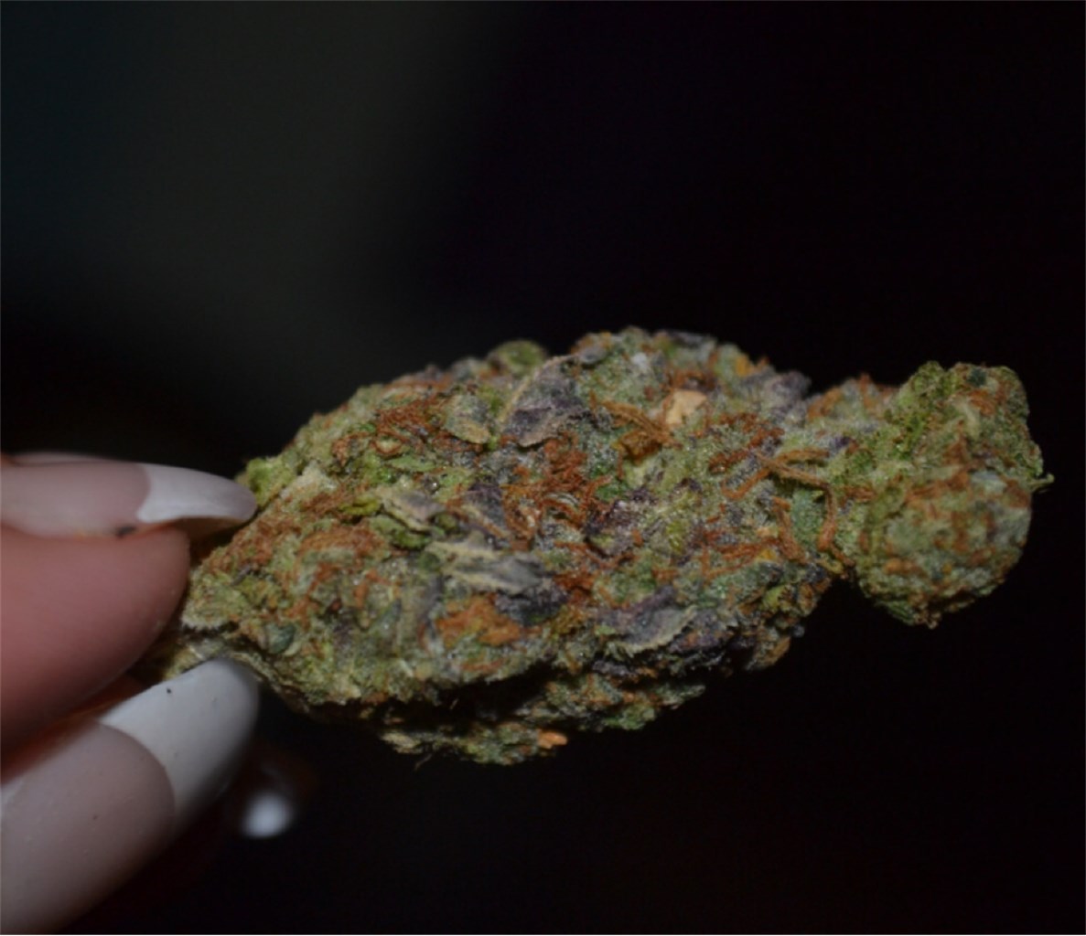 Lavender Marijuana Strain