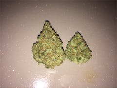 User uploaded image of Le Silver Royale