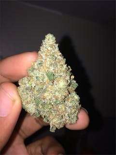 User uploaded image of Le Silver Royale