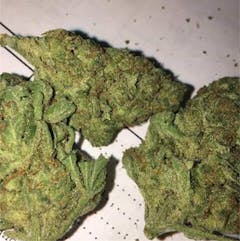 User uploaded image of Lem Chem