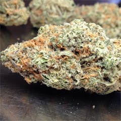 User uploaded image of Lemon Alien Dawg