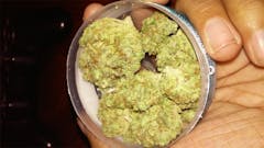 User uploaded image of Lemon Alien Dawg