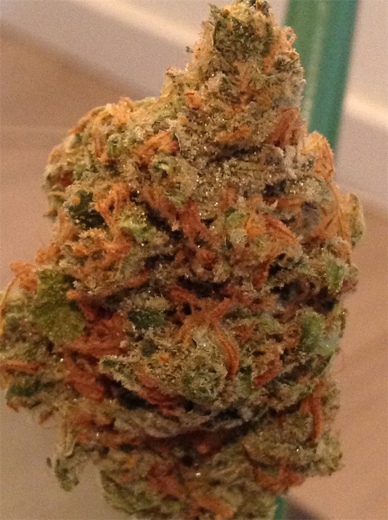 Lemon Bubble Weed Strain Information Leafly