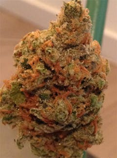 User uploaded image of Lemon Bubble