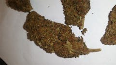 User uploaded image of Lemon Bubble