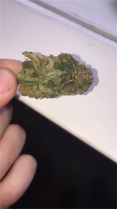 User uploaded image of Lemon Daddy