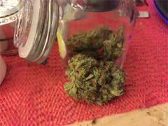 User uploaded image of Lemon Daddy