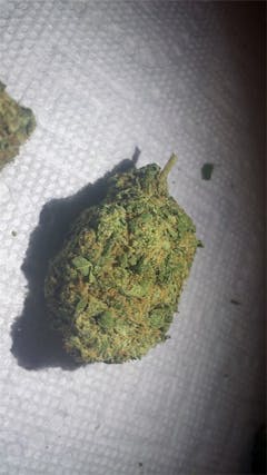 User uploaded image of Lemon Daddy
