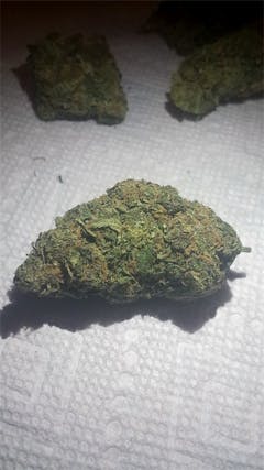 User uploaded image of Lemon Daddy