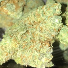 User uploaded image of Lemon Diesel