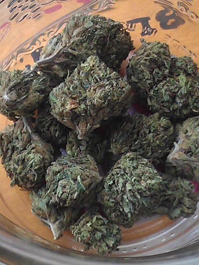 Lemon Diesel Weed Strain Information Leafly