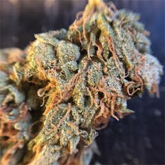 User uploaded image of Lemon Diesel