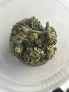 User uploaded image of Lemon Drop