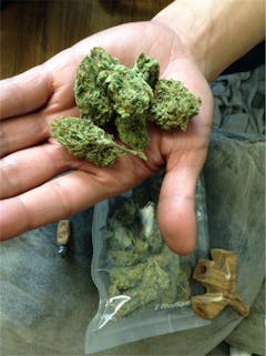 User uploaded image of Lemon Drop