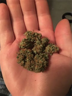 User uploaded image of Lemon Drop