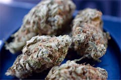 User uploaded image of Lemon G