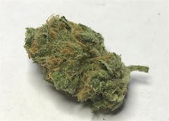 User uploaded image of Lemon G