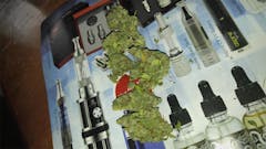 User uploaded image of Lemon G