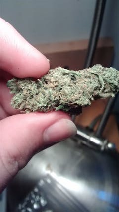 User uploaded image of Lemon G