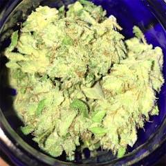 User uploaded image of Lemon G