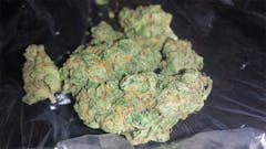 User uploaded image of Lemon Haze