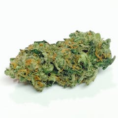 User uploaded image of Lemon Jack