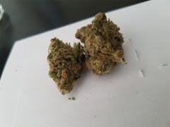 User uploaded image of Lemon Jack