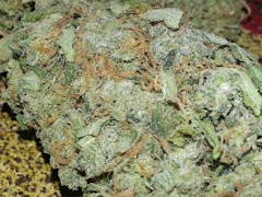 User uploaded image of Lemon Jack