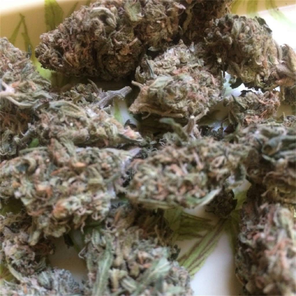 Photos of Lemon Kush Weed Strain Buds Leafly